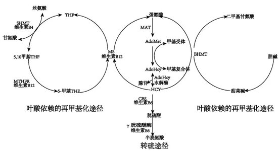 https://mmbiz.qpic.cn/mmbiz_jpg/xPia5f4zAEiaic9d0btbMZMicOFMSsG2DLq8GkMQHiahFgCeicR90NOltQ6Nc7cjsghdahUZqdQ9uwqw5aTARlicr1icibA/640?wx_fmt=jpeg