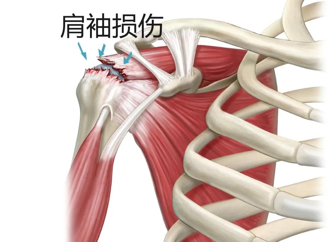 微信图片_20220216080551.jpg