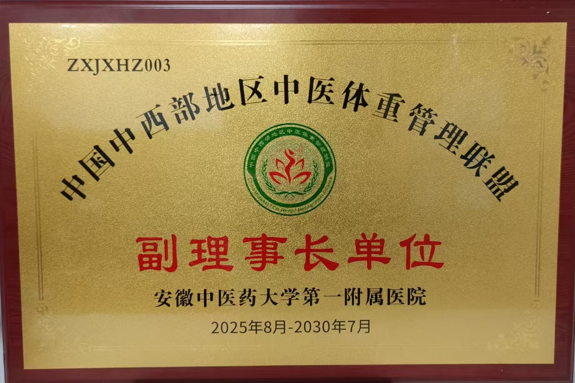 副理事长单位.jpg
